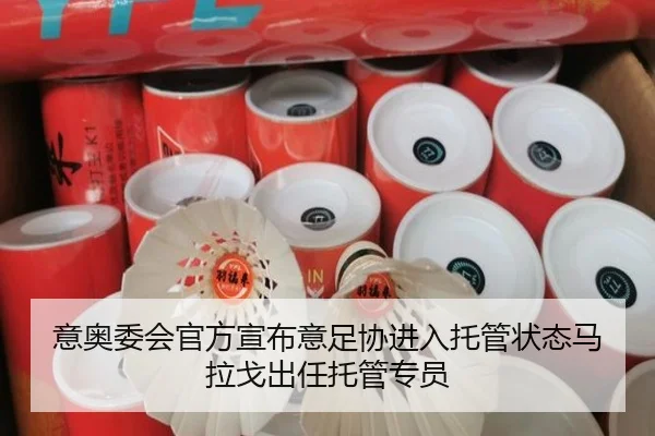 意奥委会官方宣布意足协进入托管状态马拉戈出任托管专员